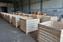Продаваме висококачественни дървени бокс палети
